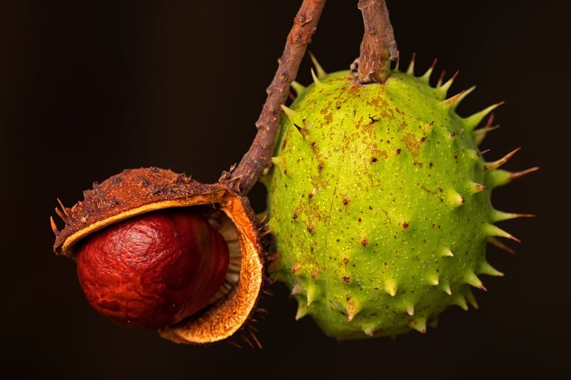 Healthy fruits
